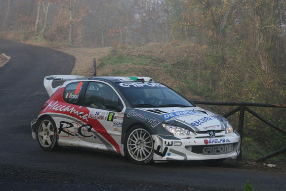 RALLY ALTO CASERTANO 2008 PEUGEOT WRC