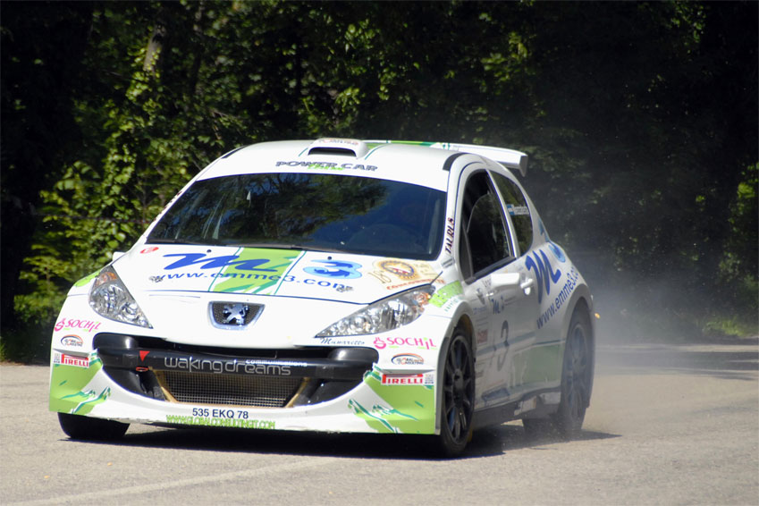 Rally di Teramo 2008 - PEUGEOT 207 WRC Rally di Teramo 2008 - PEUGEOT 207 WRC